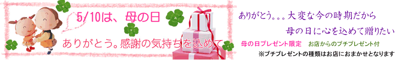 �v���[���g�A���蕨�̂��X�@�C�����ł��h�b�g�l�b�g�@��̓�